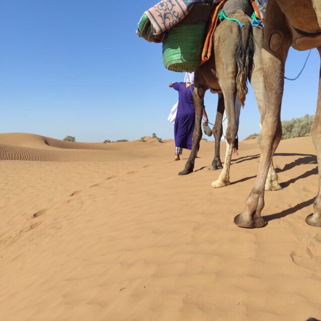 Trek dans le desert marocain, la caravane de Nomades
