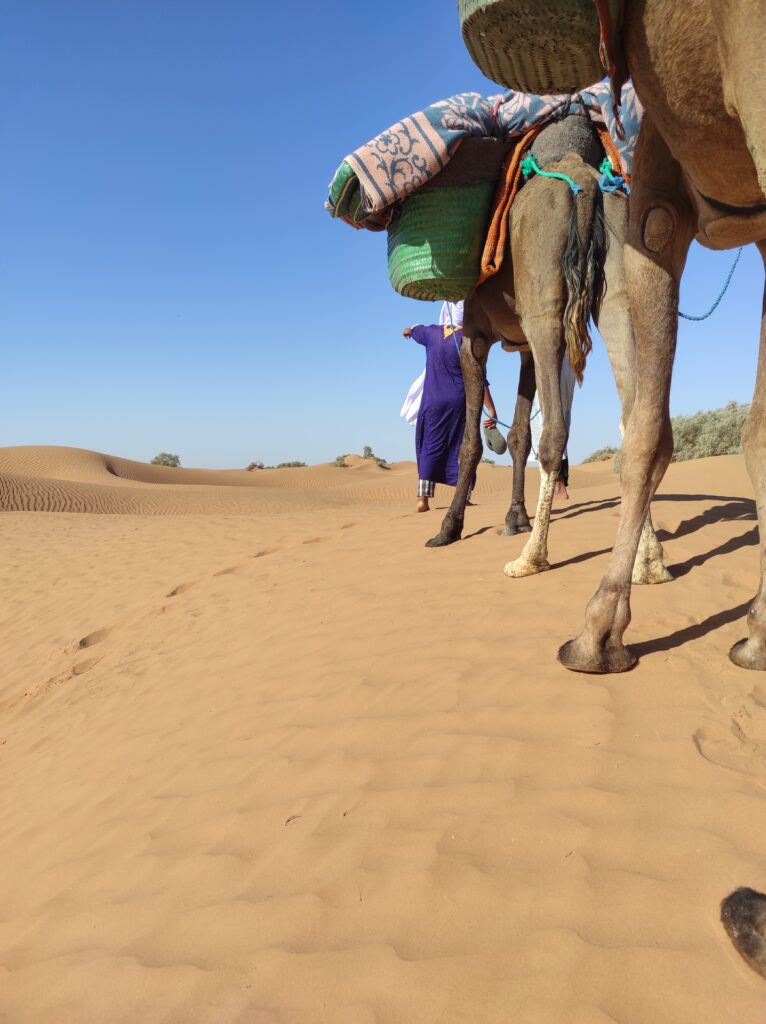 Trek dans le desert marocain, la caravane de Nomades