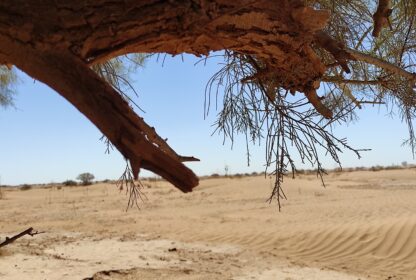 Comment s’équiper pour un trek dans le désert marocain ?