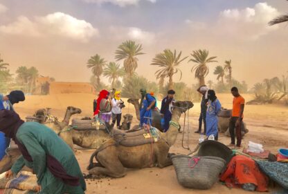 Préparation d'une méharée au Maroc - Chameliers ajustant les bagages sur le dos d'un dromadaire au moment du départ de la caravane