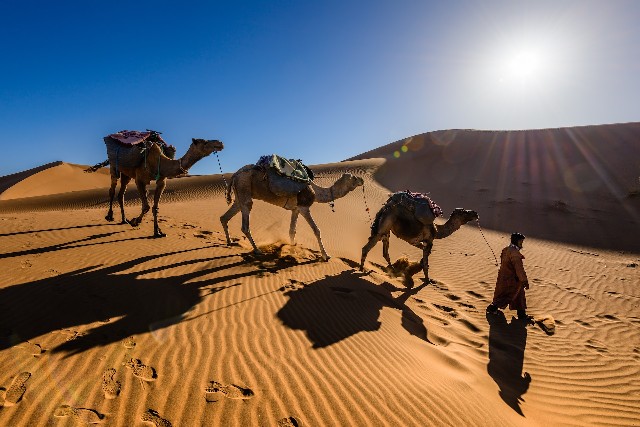 Caravane Grain de Sable du Maroc M'hamid
