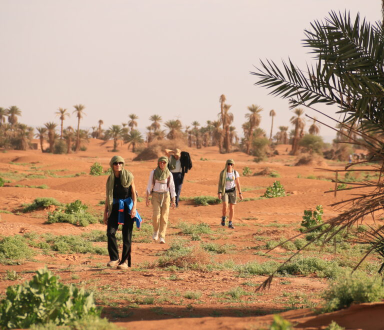marche consciente dans le désert