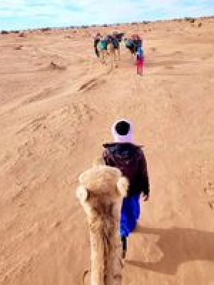 Trekking - Grain de Sable du Maroc